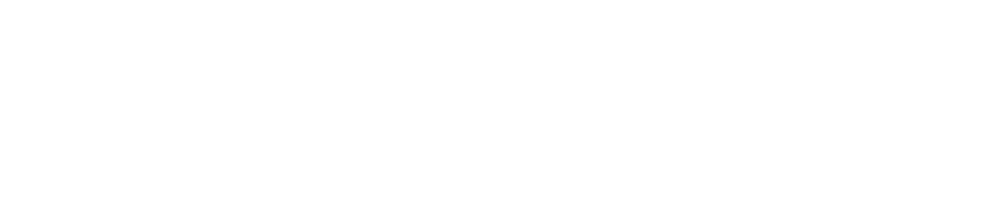 Steer Health Logo White
