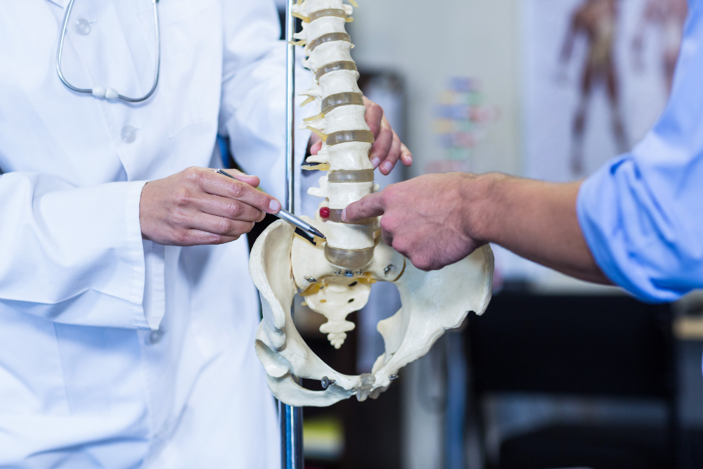 physiotherapist showing spine model patient